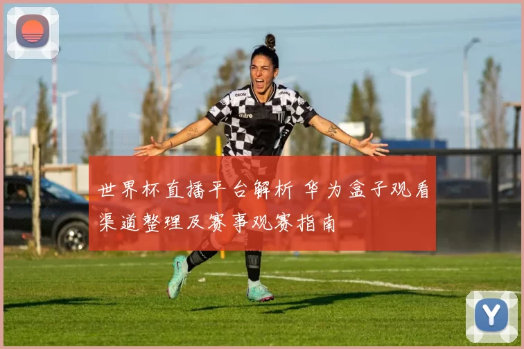 世界杯直播平台解析 华为盒子观看渠道整理及赛事观赛指南