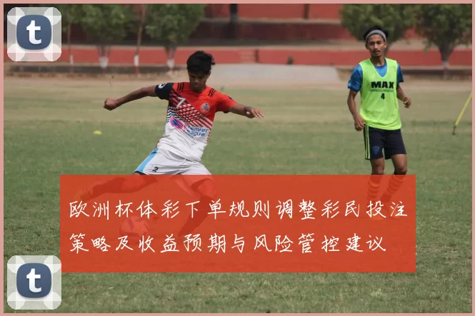 欧洲杯体彩下单规则调整彩民投注策略及收益预期与风险管控建议