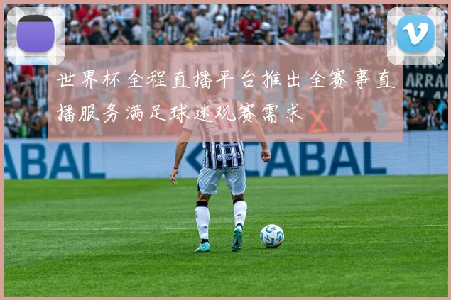 世界杯全程直播平台推出全赛事直播服务满足球迷观赛需求
