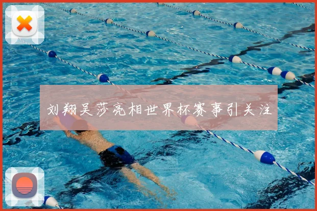 刘翔吴莎亮相世界杯赛事引关注