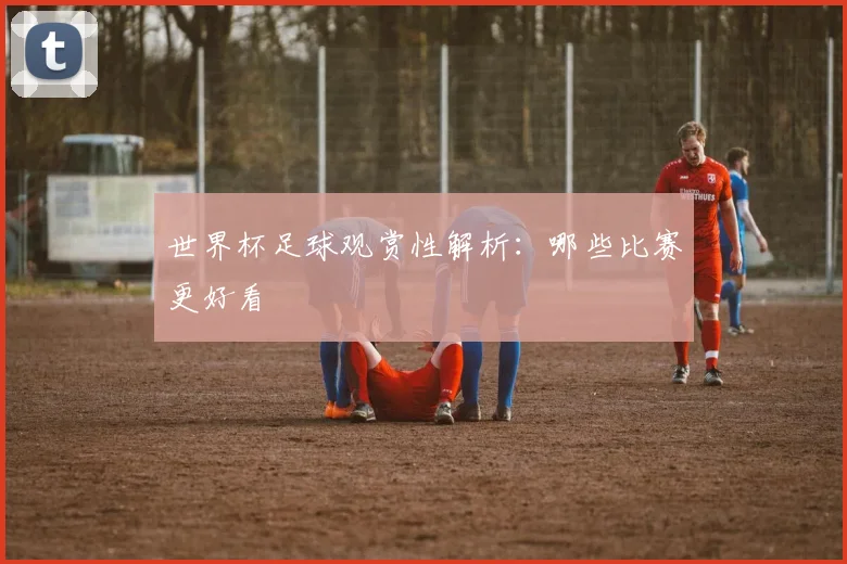 世界杯足球观赏性解析:哪些比赛更好看