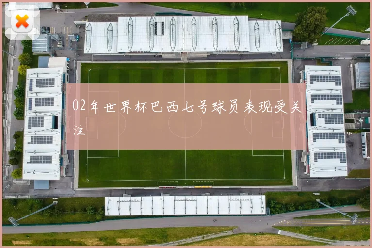 02年世界杯巴西七号球员表现受关注