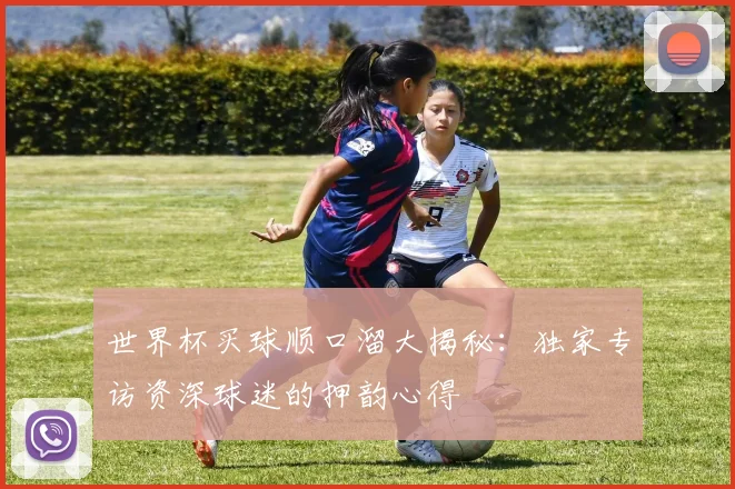 世界杯买球顺口溜大揭秘:独家专访资深球迷的押韵心得