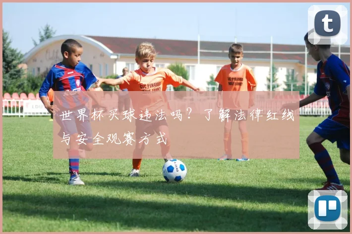 世界杯买球违法吗？了解法律红线与安全观赛方式