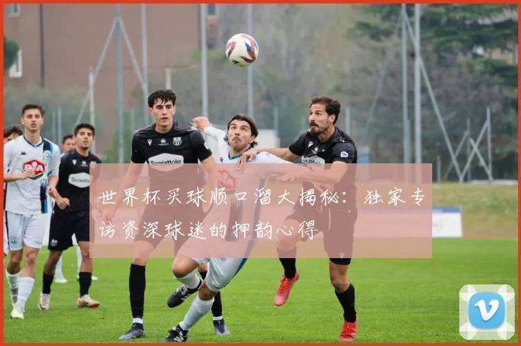 世界杯买球顺口溜大揭秘：独家专访资深球迷的押韵心得
