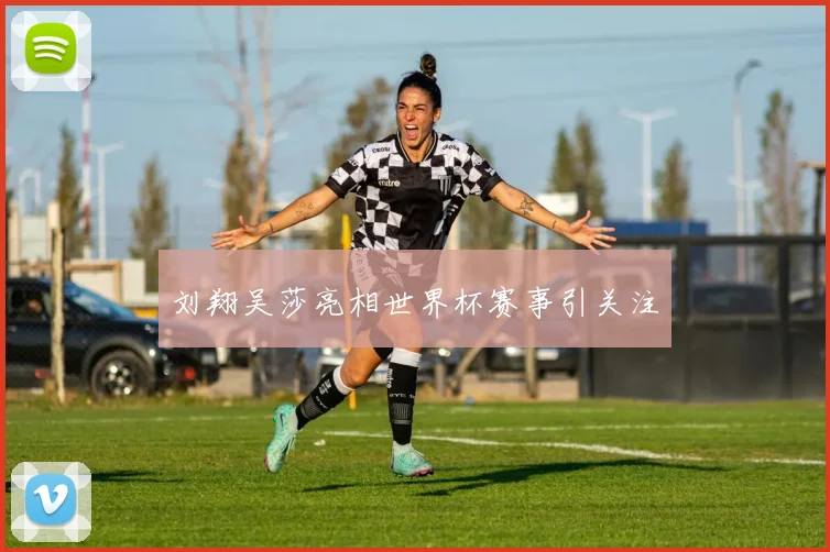刘翔吴莎亮相世界杯赛事引关注